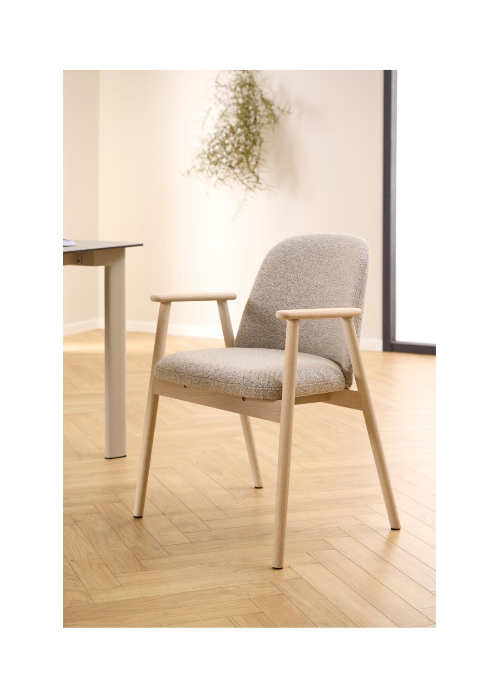 Leo eetkamerstoel met armleuning, stof Monza beige 60, onderstel wit gepigmenteerd geolied eiken