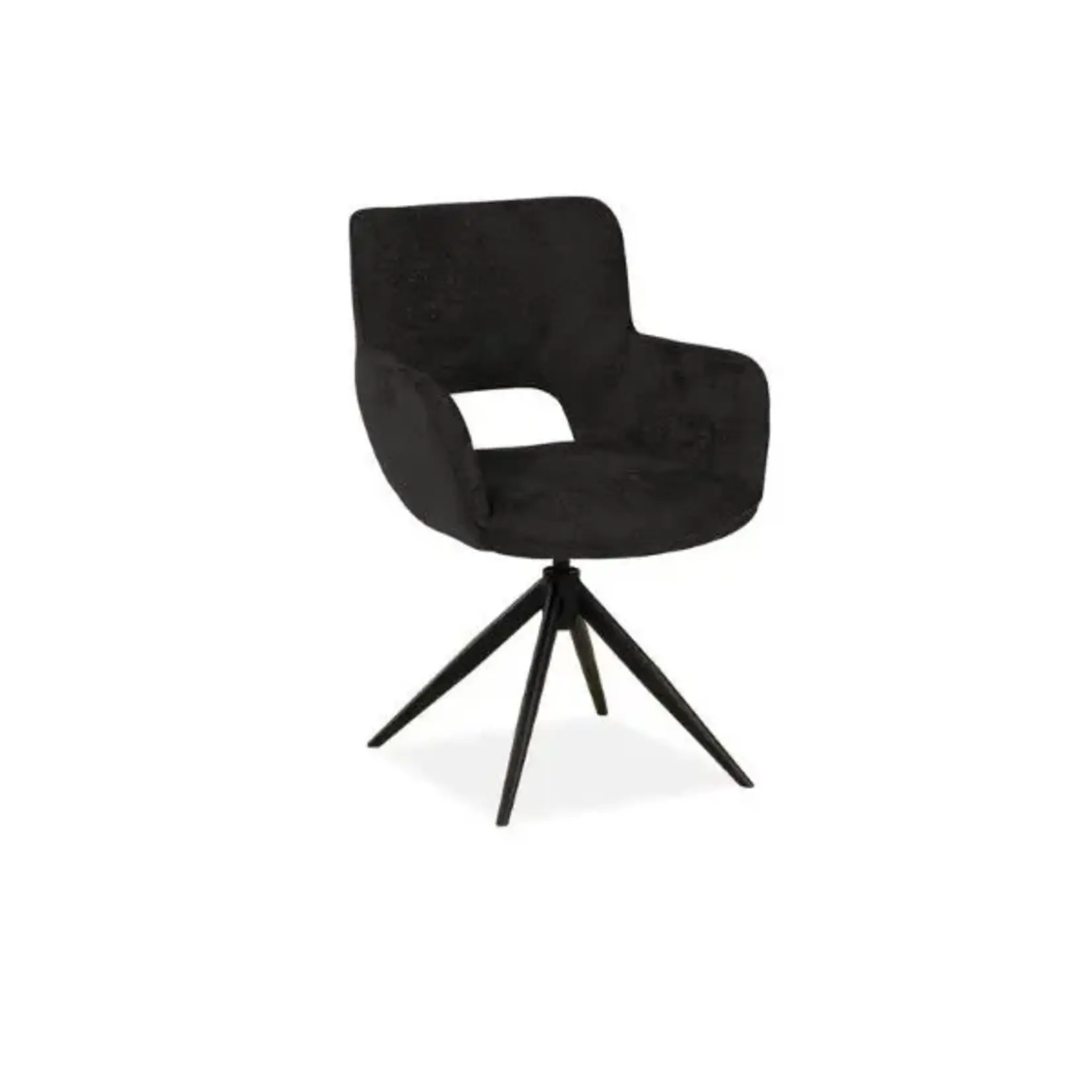 Darwin Eetkamerstoel Darwin Antraciet