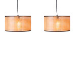 DMW Hanglamp Everly 2L