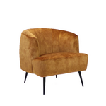 Billy Fauteuil Billy Geel Velvet
