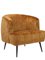 Billy Fauteuil Billy Geel Velvet