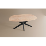 Deens Ovaal Lamulux 138x85x77