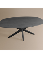 Deens Ovaal Lamulux 220x102x77