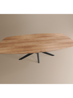 Deens Ovaal Lamulux 250x128x77