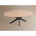 Eettafel Ovaal Lamulux 160 x 92 x 77