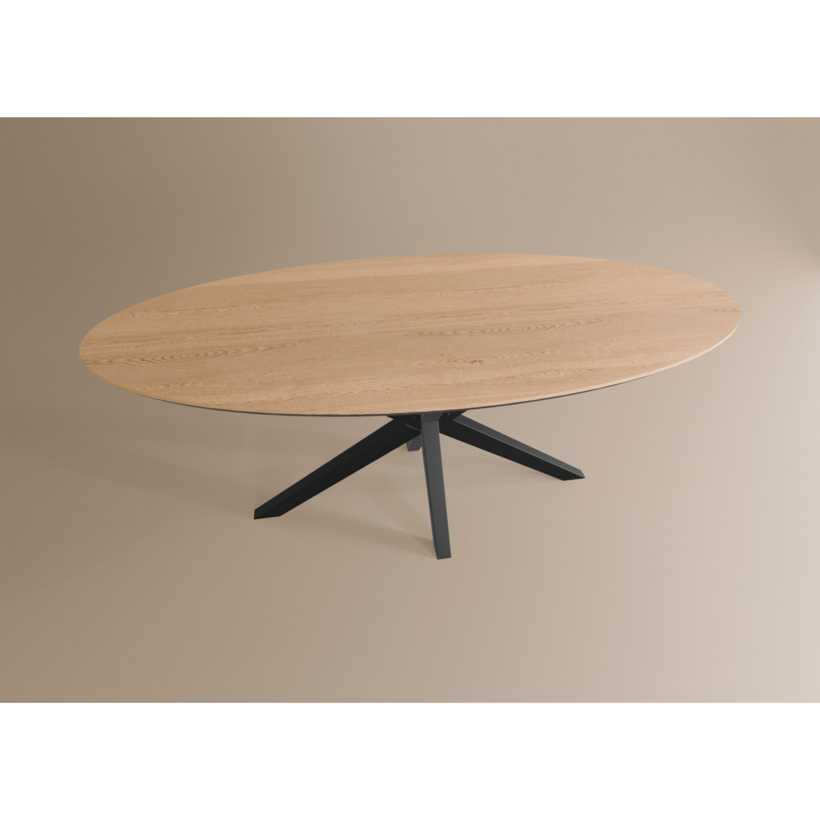 Eettafel Ovaal Lamulux 200 x 102 x 77