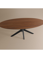 Eettafel Ovaal Lamulux 220 x 120 x 77