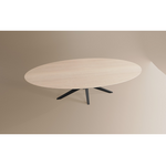 Eettafel Ovaal Lamulux 250 x 128 x 77