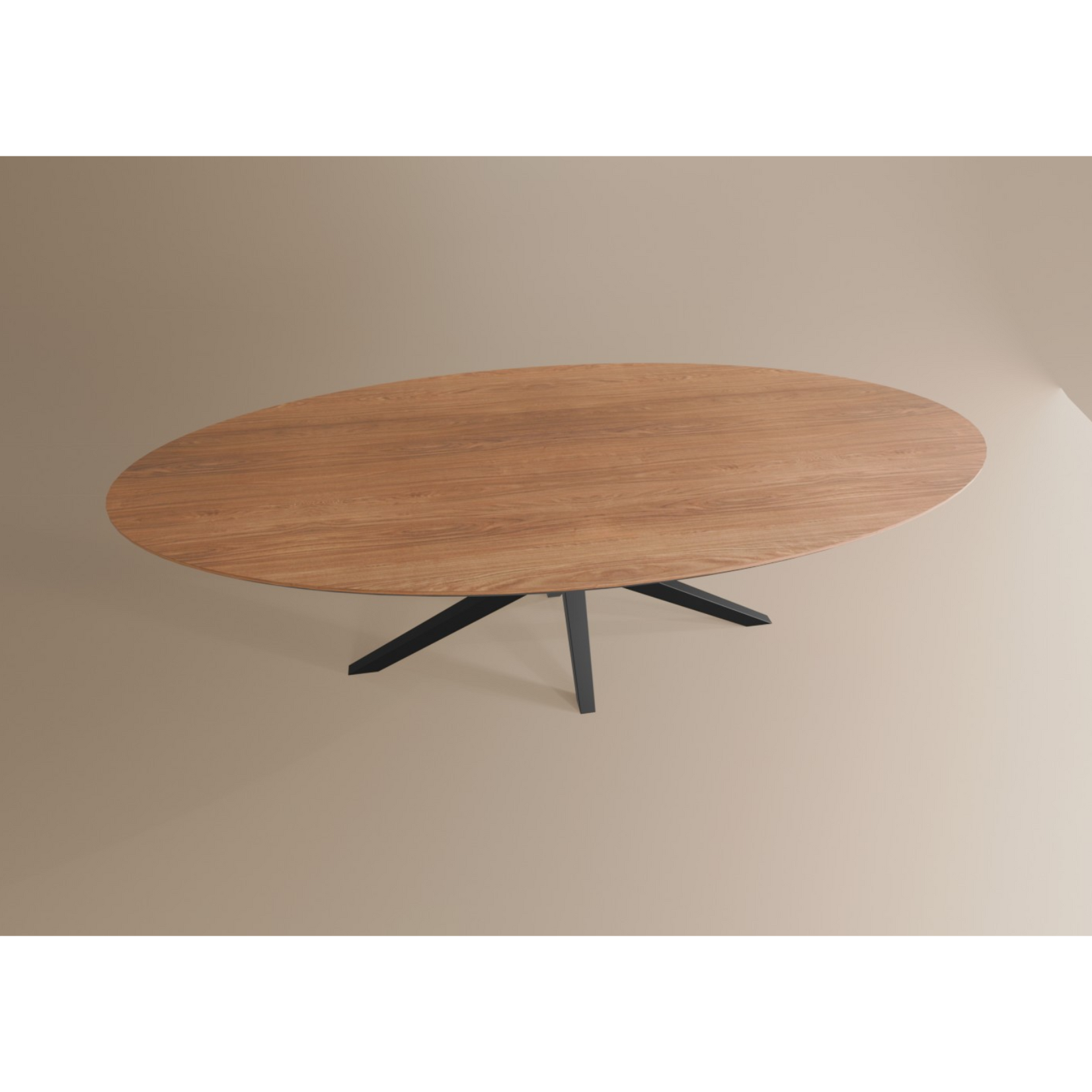 Eettafel Ovaal Lamulux 250 x 128 x 77