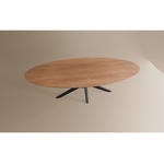 Eettafel Ovaal Lamulux 275 x 130 x 77
