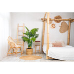 NeverLeafs Kunstplant Philodendron 140cm