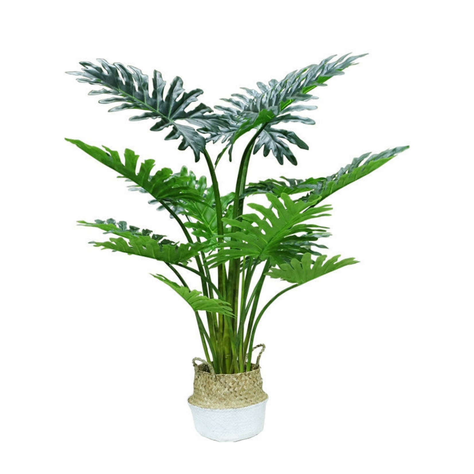 NeverLeafs Kunstplant Philodendron 140cm