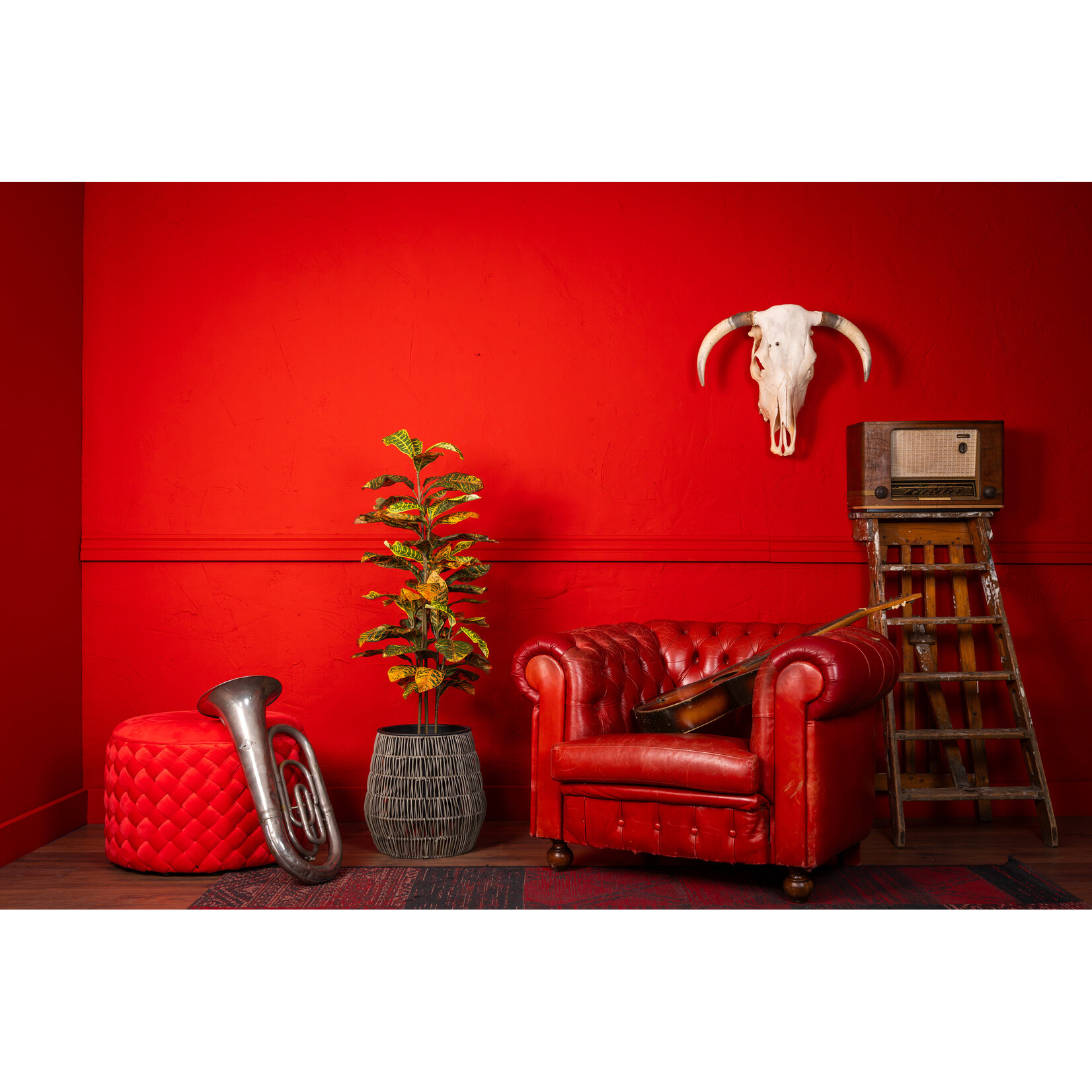 NeverLeafs Kunstplant Ficus 120cm