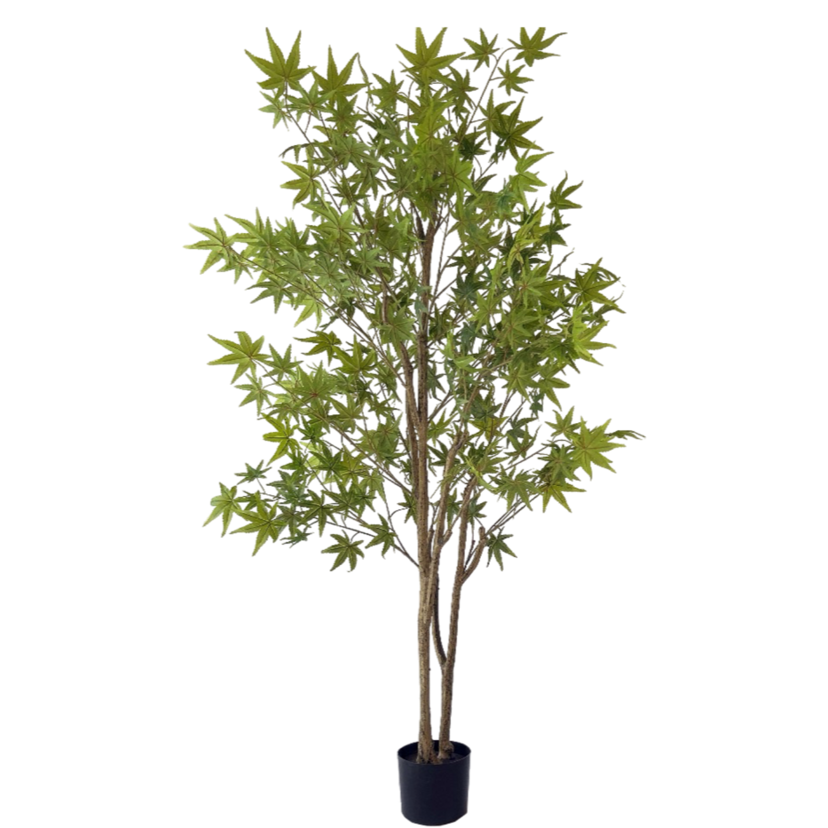 NeverLeafs Kunstplant groene Esdoorn 180cm