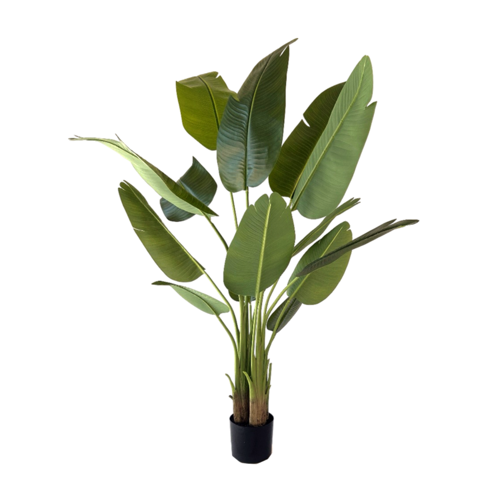 NeverLeafs Kunstplant Strelitzia 150 cm real touch