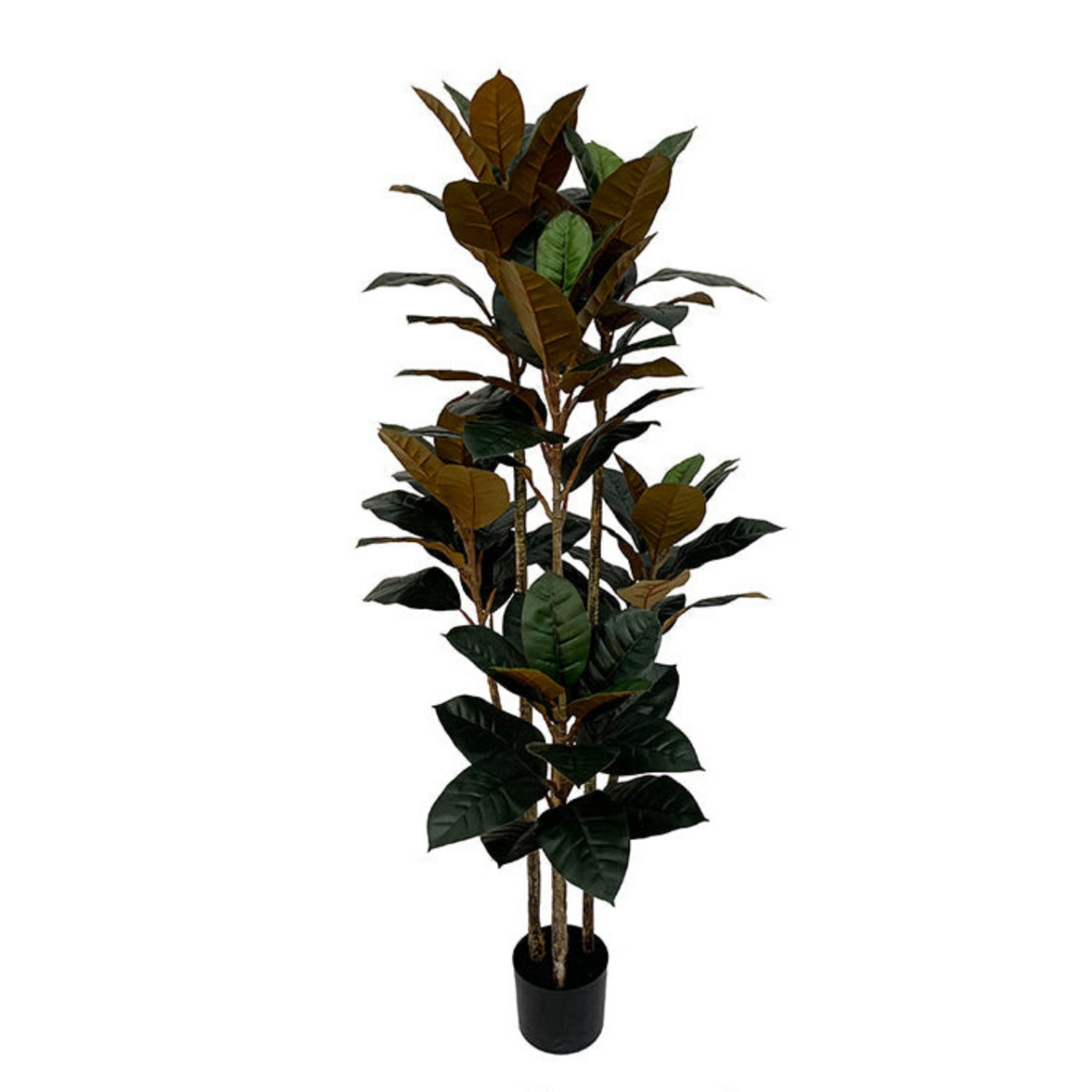 NeverLeafs Kunstplant Rubberboom  160 cm
