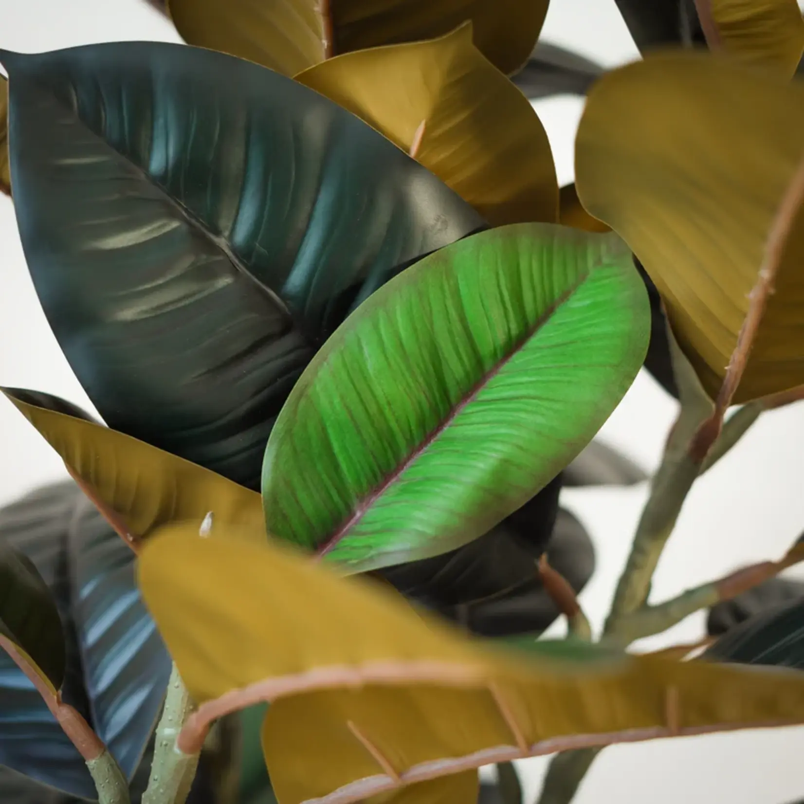 NeverLeafs Kunstplant Rubberboom  160 cm