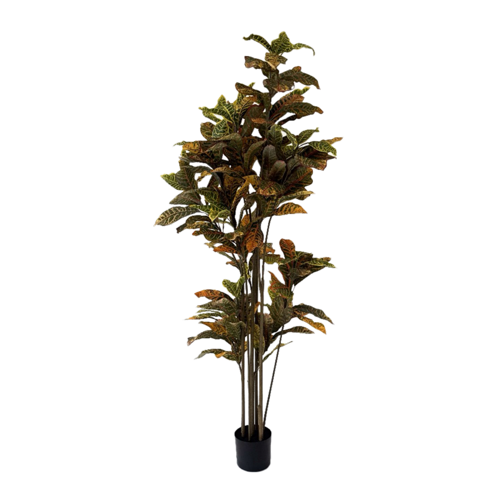 NeverLeafs Kunstplant Ficus Deluxe 180 cm
