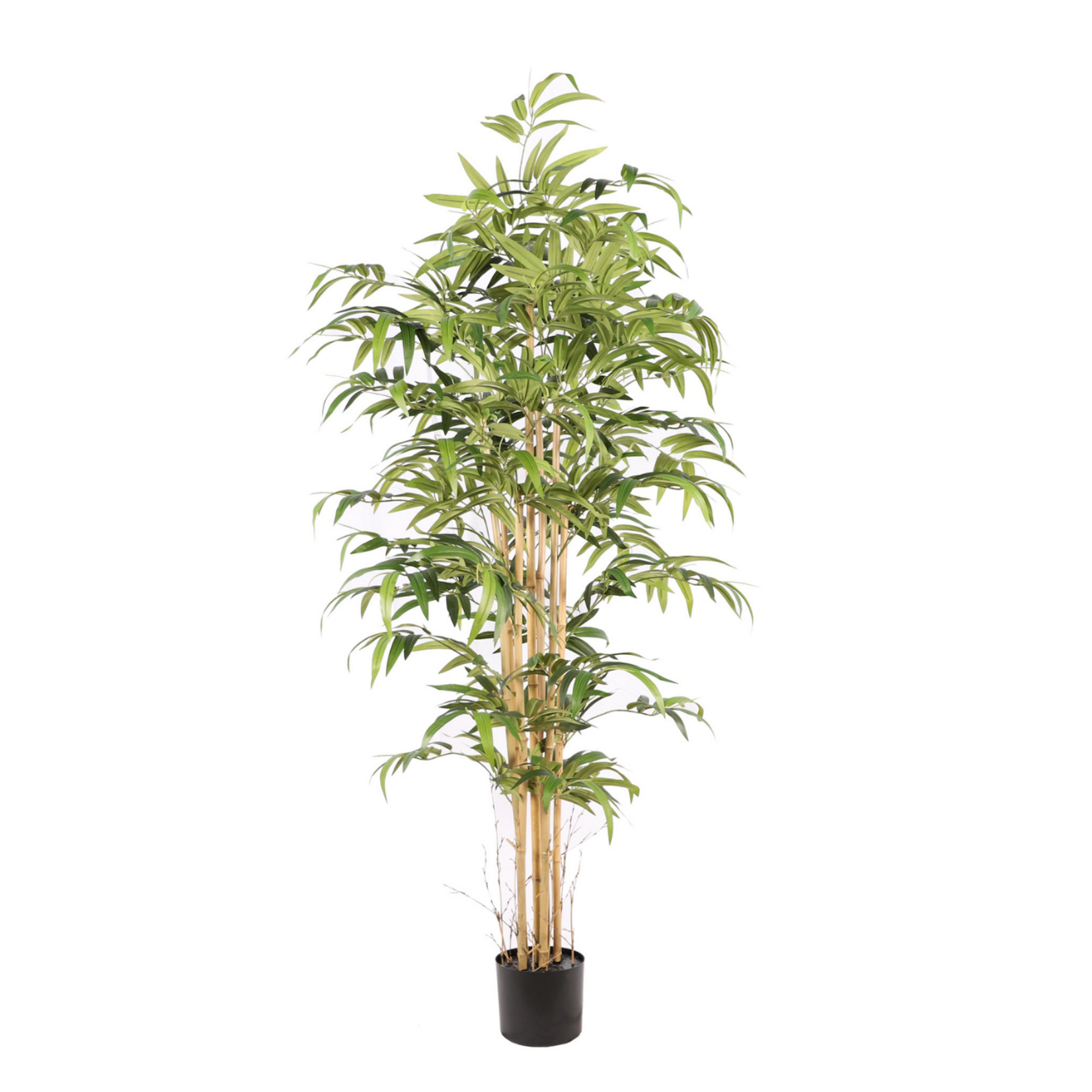 NeverLeafs Kunstplant Bamboe Japanese  180cm