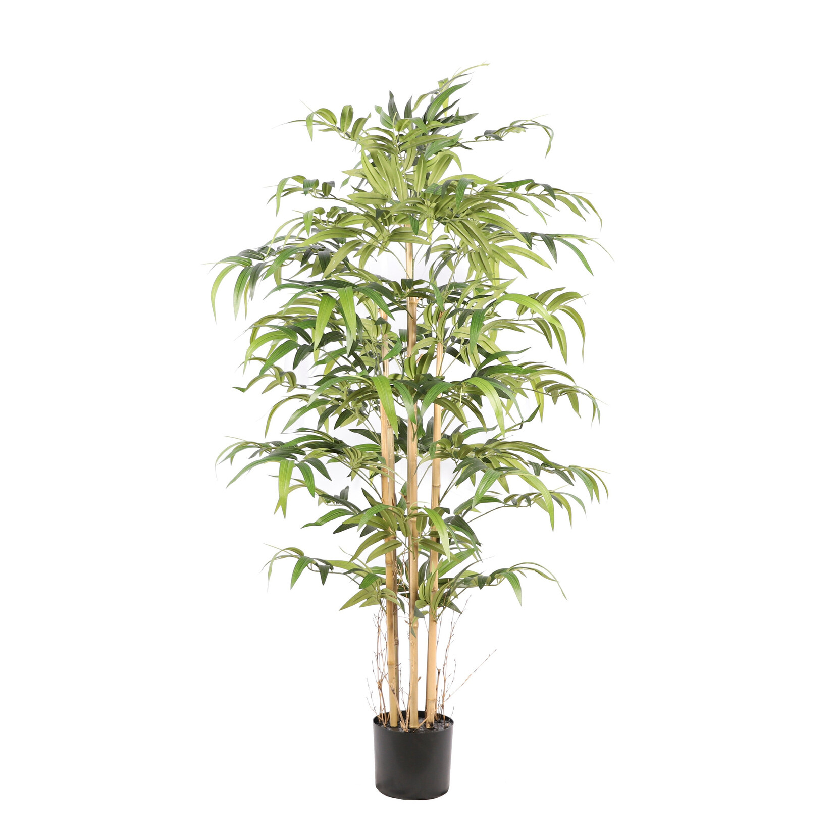 NeverLeafs Bamboe Japanese kunstplant 160cm