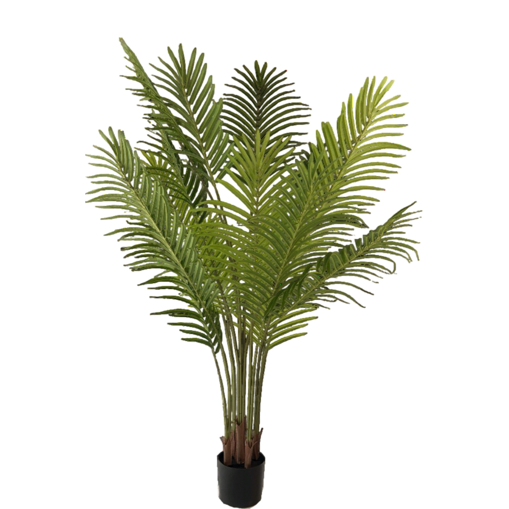 NeverLeafs Kunstplant Palm Phoenix 160 cm