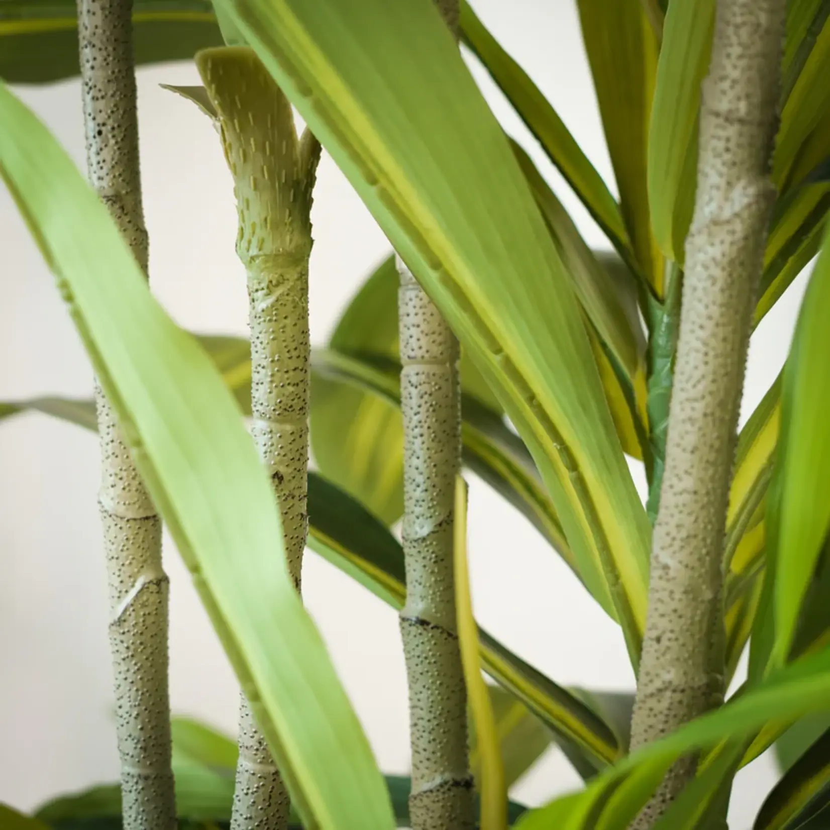 NeverLeafs Kunstplant Agave  Deluxe 170 cm