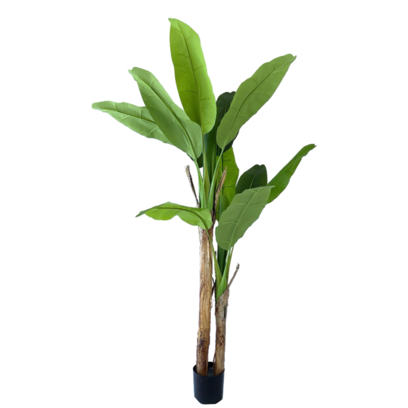 NeverLeafs Kunstplant  Bananenplant  160 cm