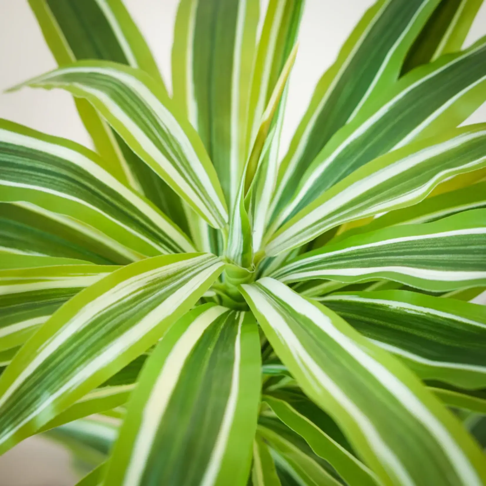 NeverLeafs Kunstplant Yucca 140 cm - Robuuste uitstraling