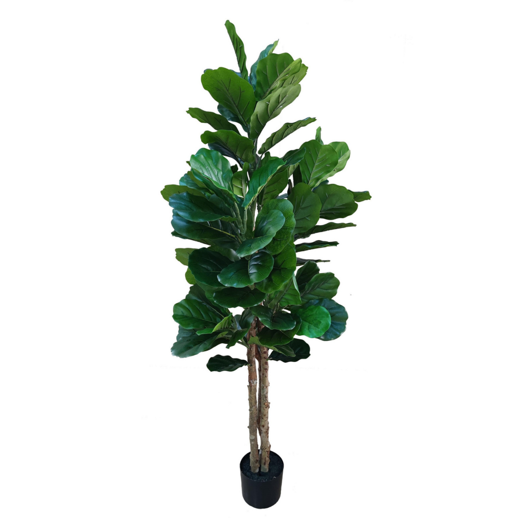 NeverLeafs Fiddle Leaf Fig kunstplant 185 cm - Stijlvolle vioolbladplant
