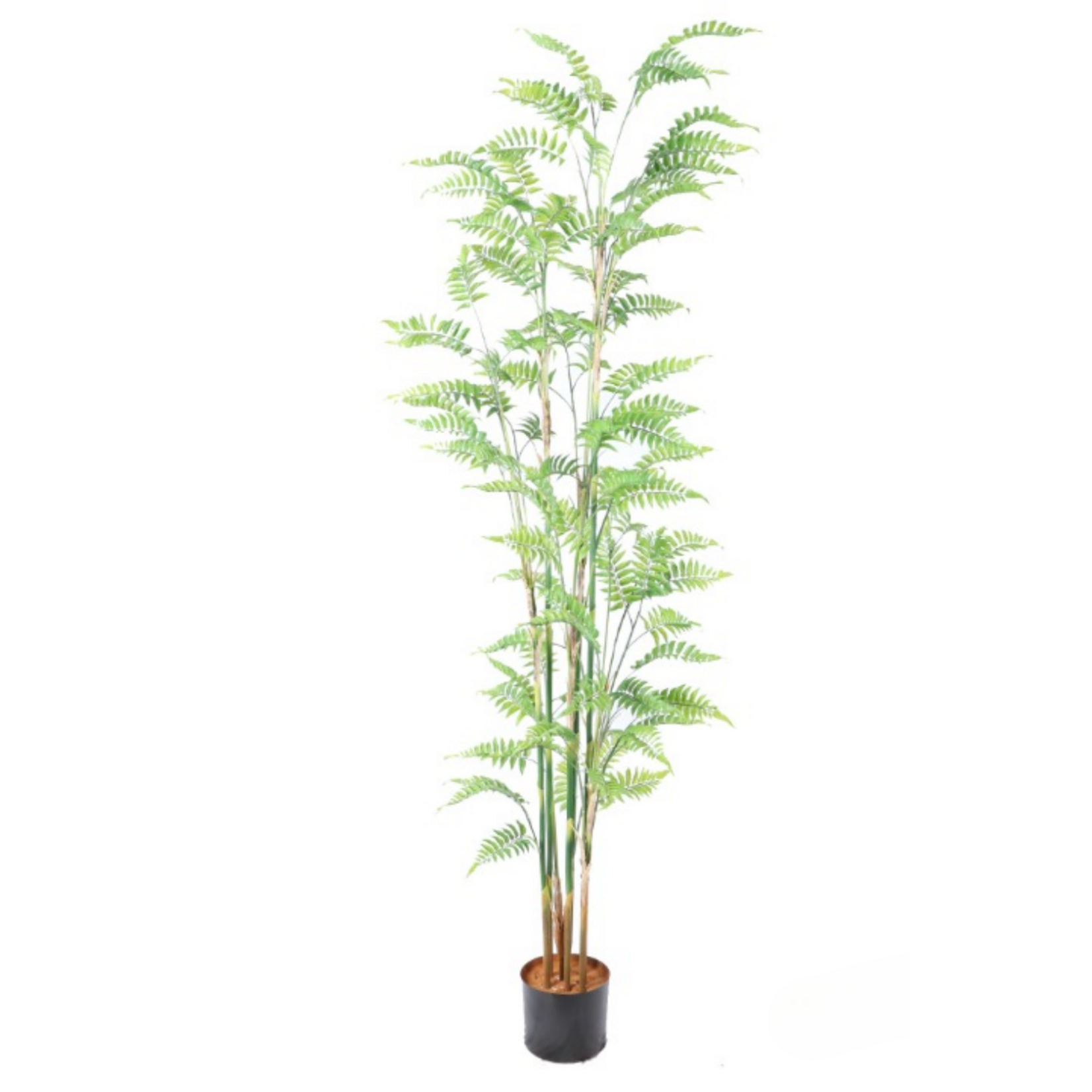NeverLeafs Kunstplant varen 130cm