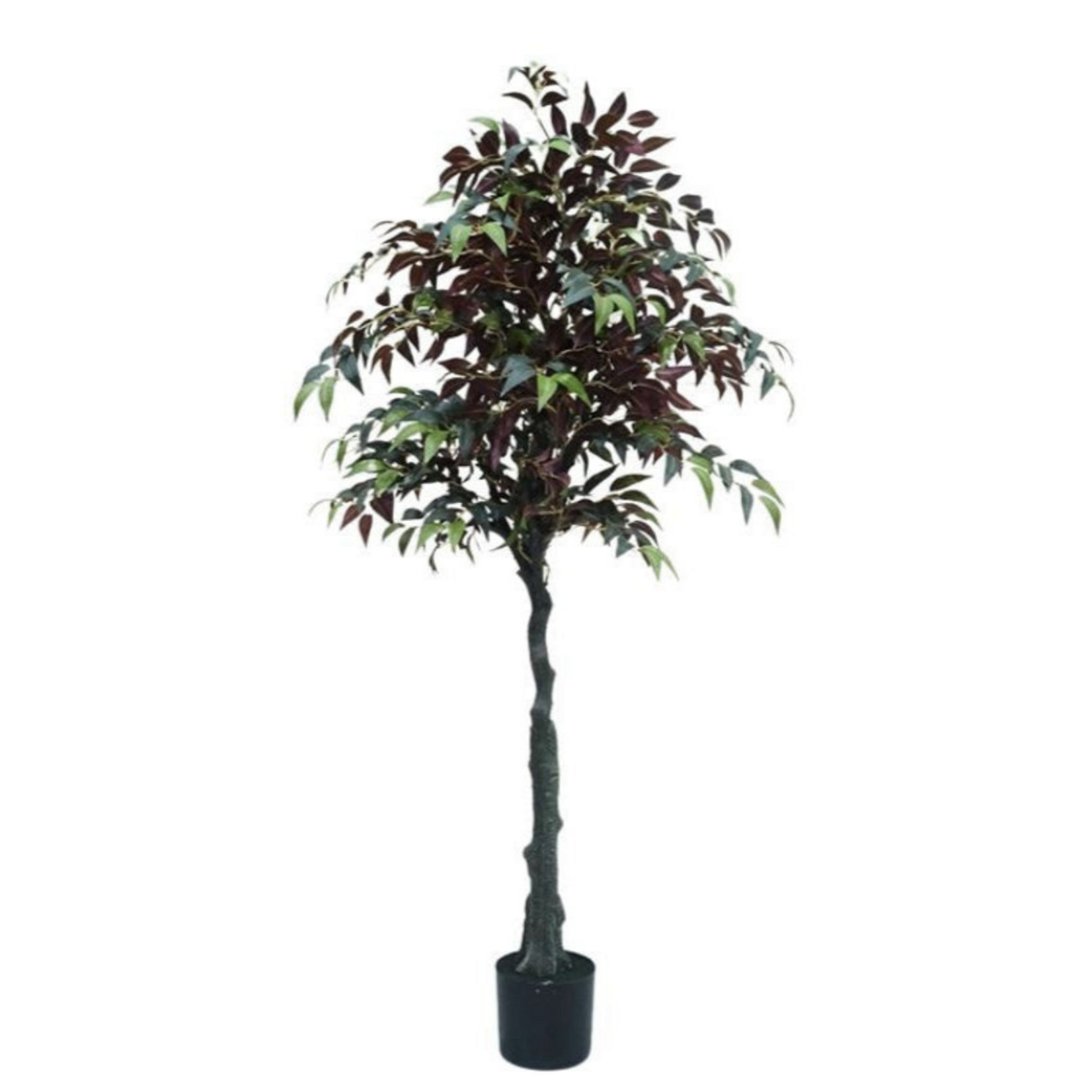 NeverLeafs  Kunstplant  Ficus 150cm