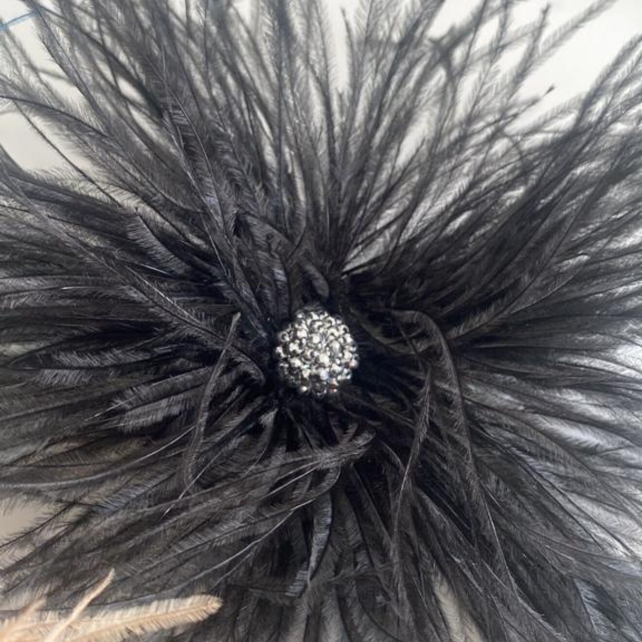 Broche struisvogelveer zwart