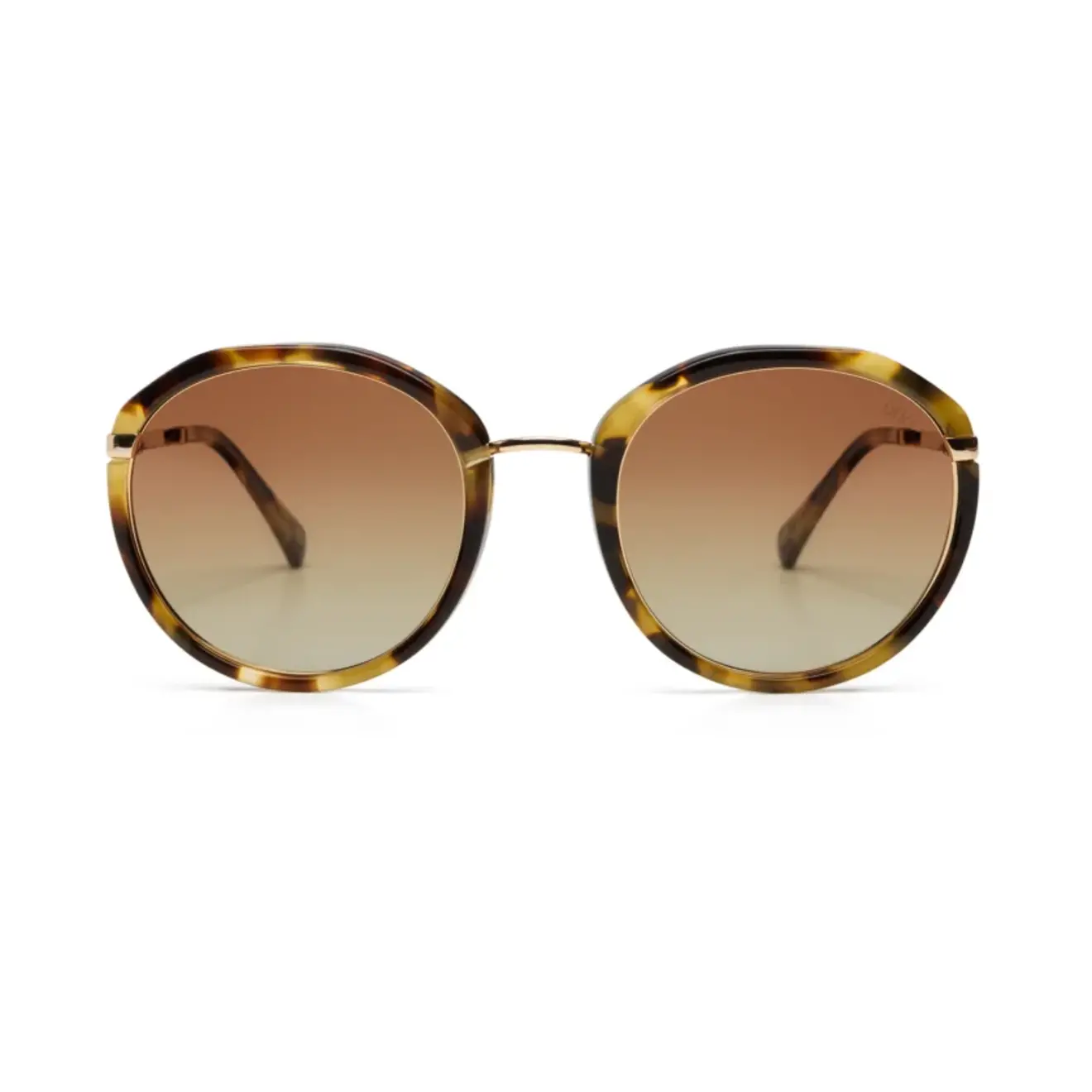 JILL zonnebril donker turtle 74-7