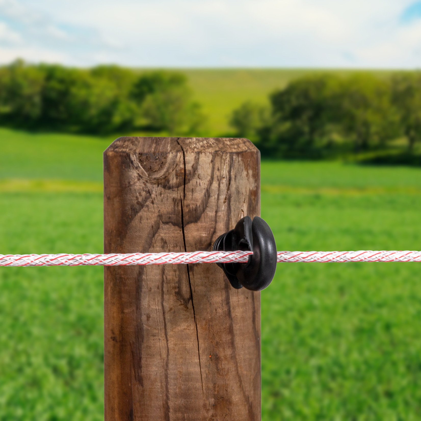Pulsara Isolateur à vis Pulsara – noir, support continu