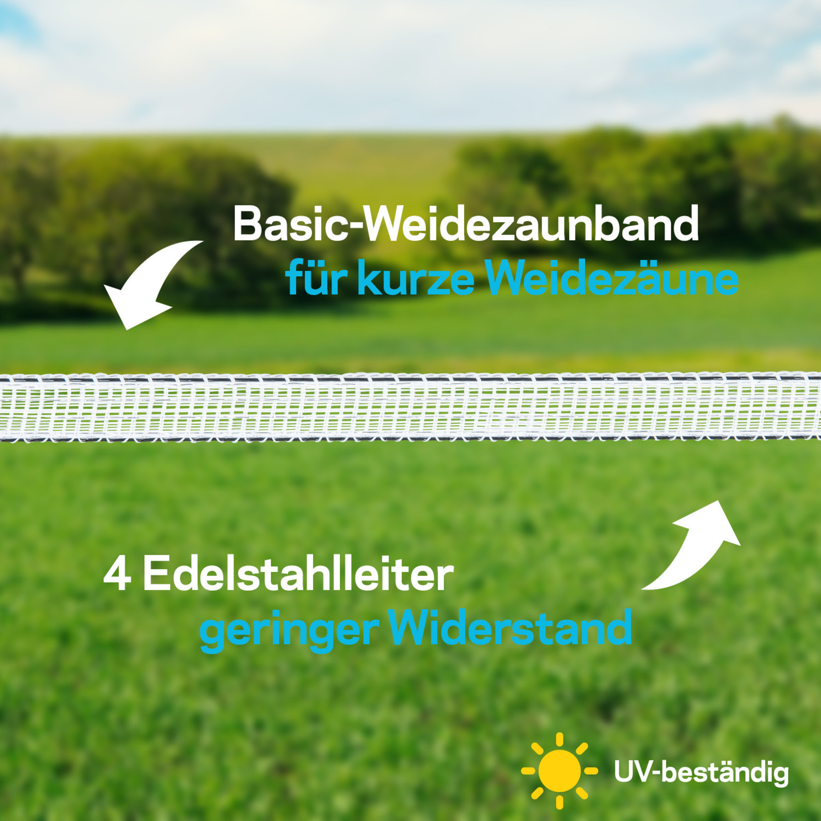 Pulsara Ruban Basic 12.5mm 200m blanc