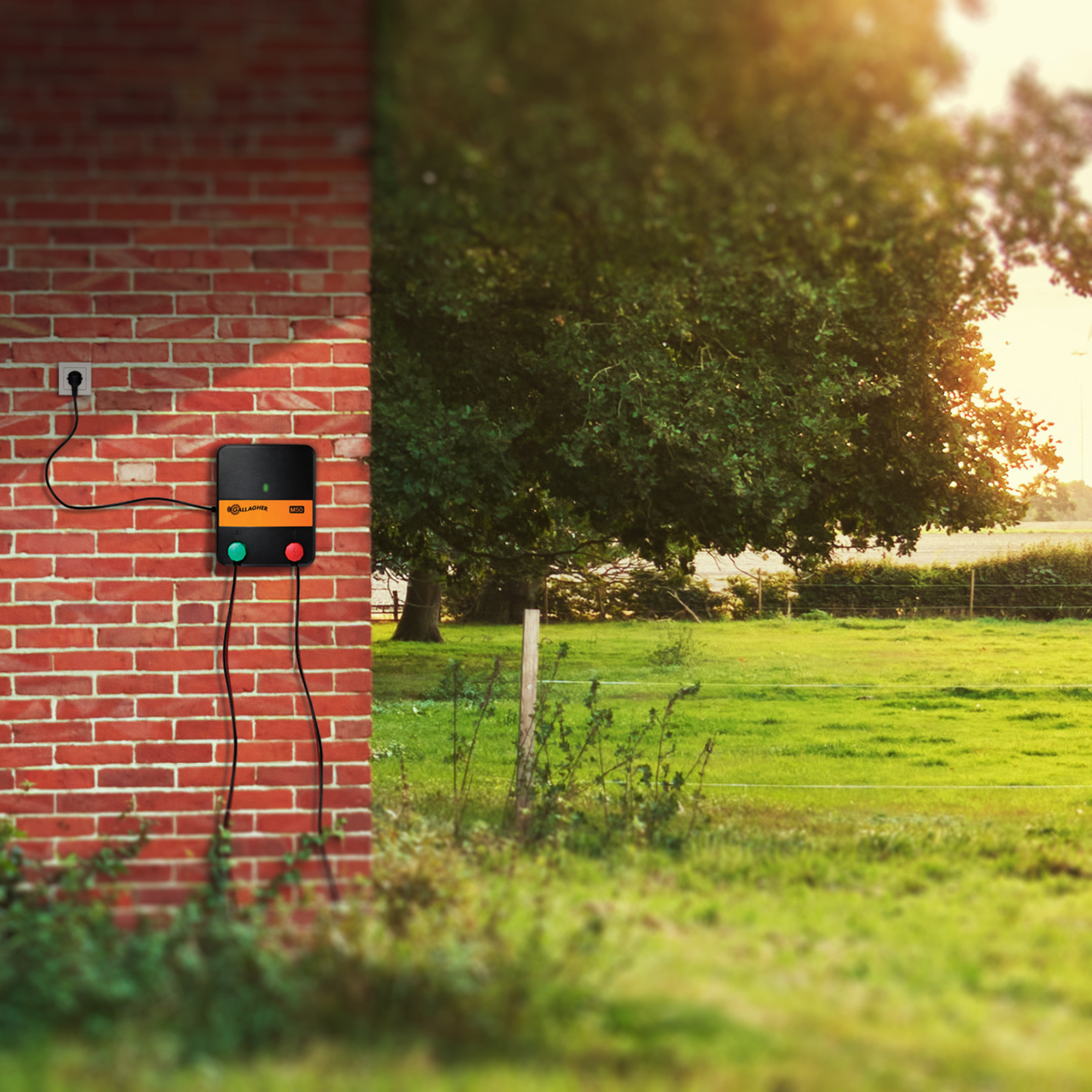 Gallagher Gallagher Électrificateur M50 sur secteur 230 V