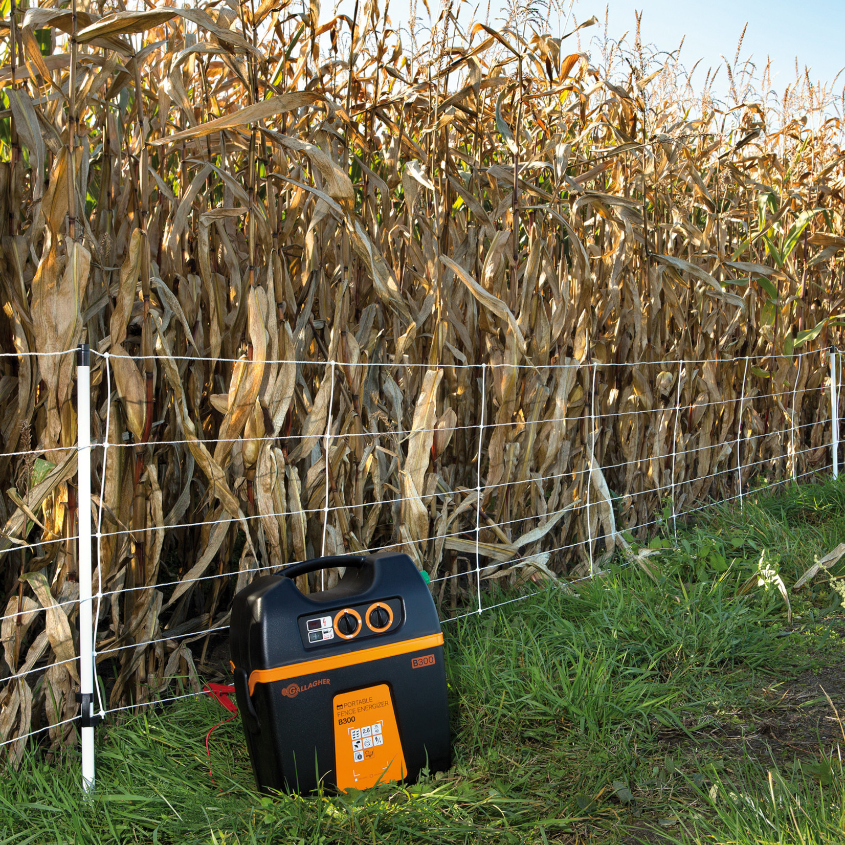 Gallagher Électrificateur sur batterie Gallagher B300 – 9/12 V