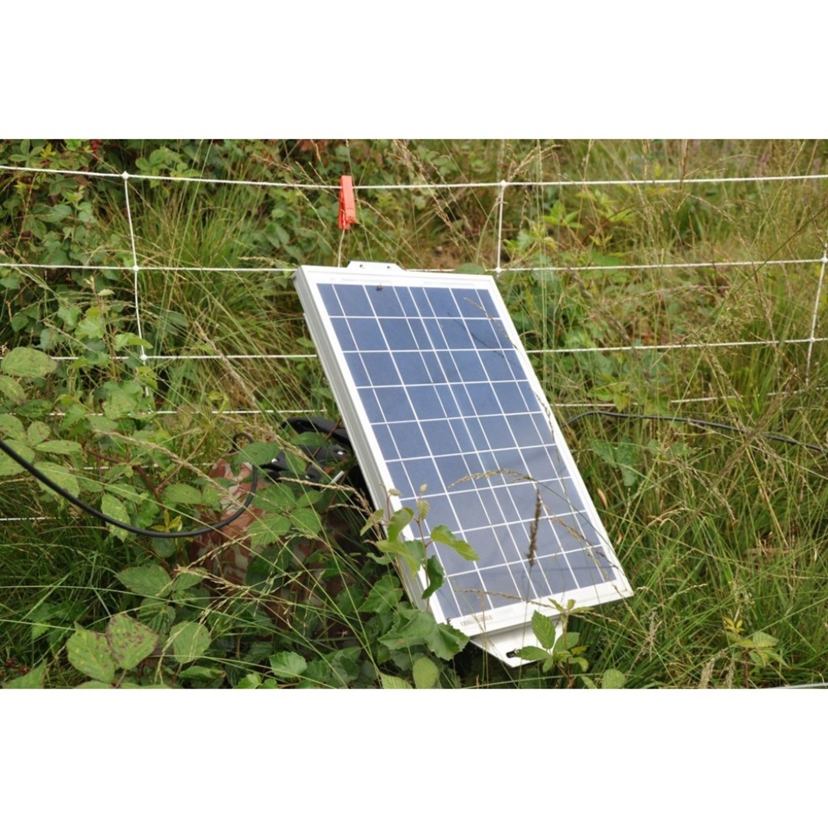 Gallagher Panneau solaire Gallagher – 10 W, régulateur 2 A
