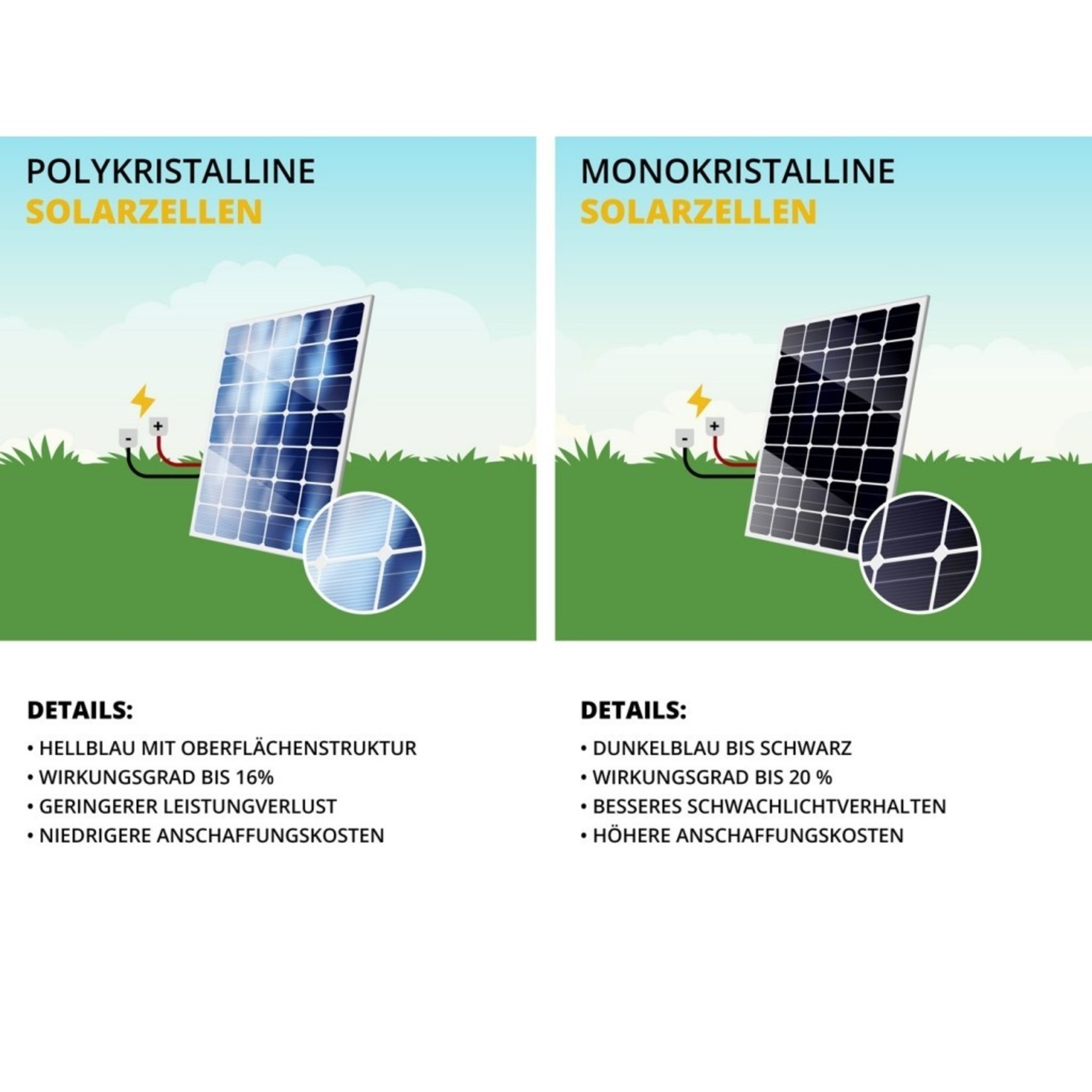 Gallagher Panneau solaire Gallagher – 50 W, régulateur 10 A