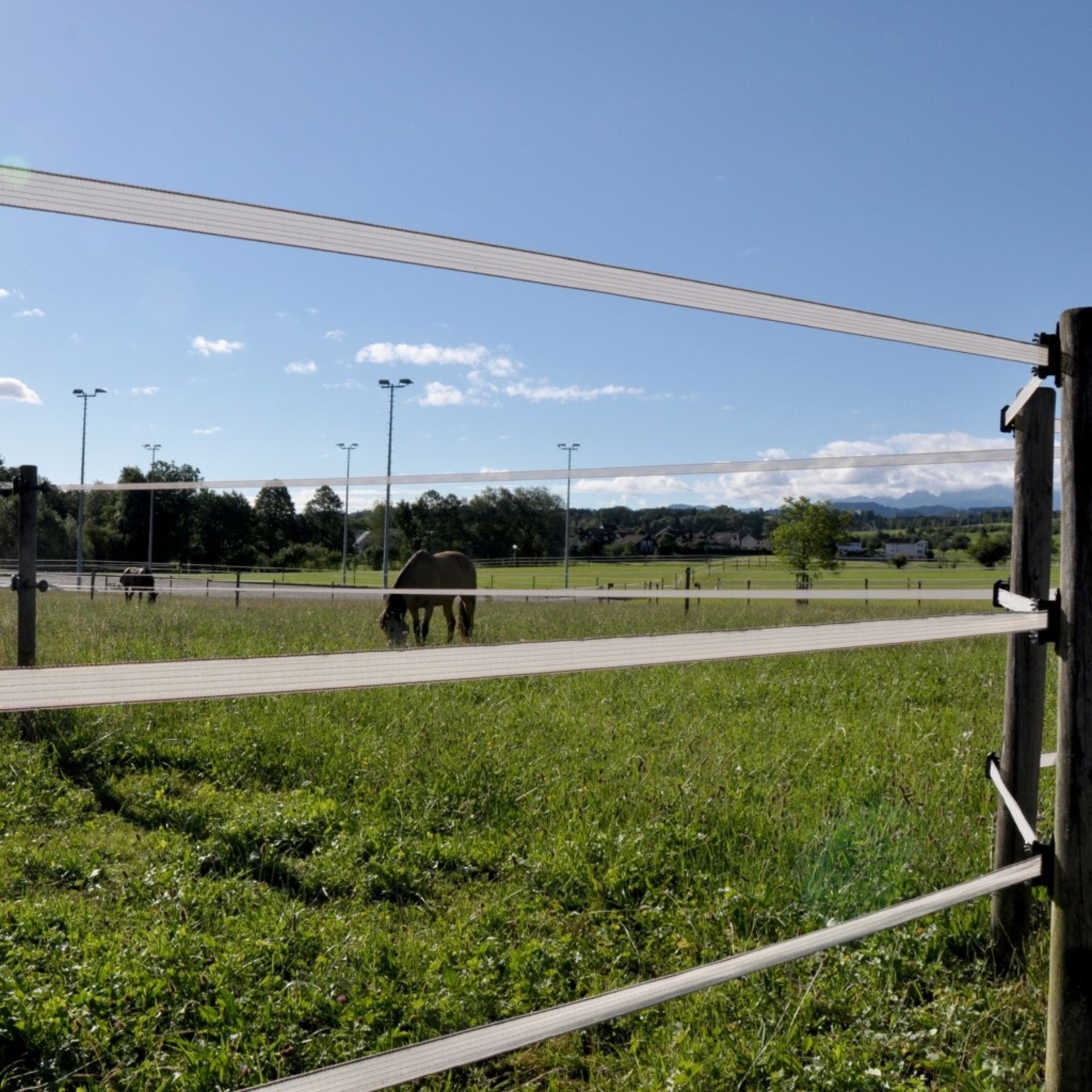 Gallagher Ruban électrique PowerLine 40 mm (blanc, 200 mètres)