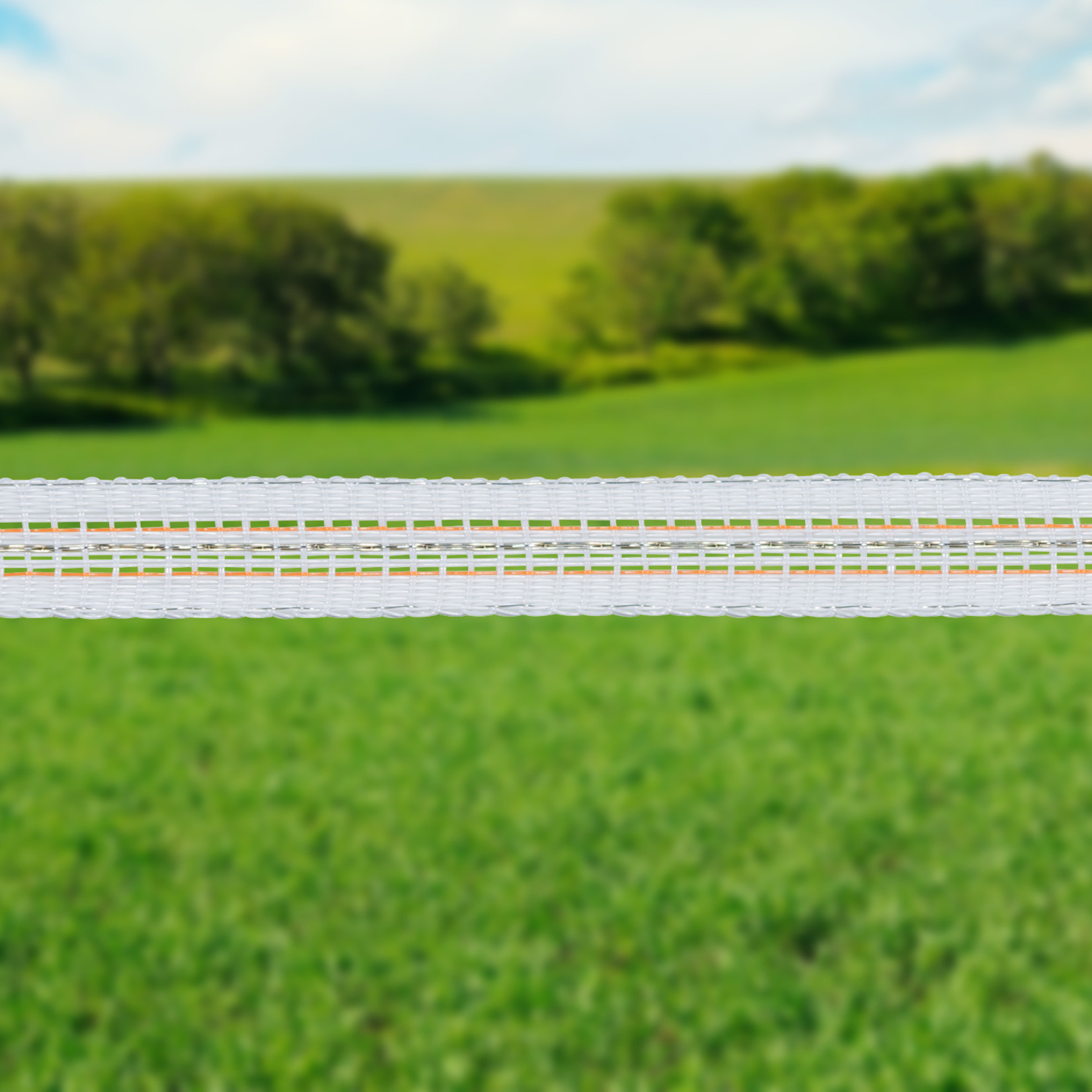 Gallagher Ruban TurboLine 12,5 mm (blanc, 400 mètres)