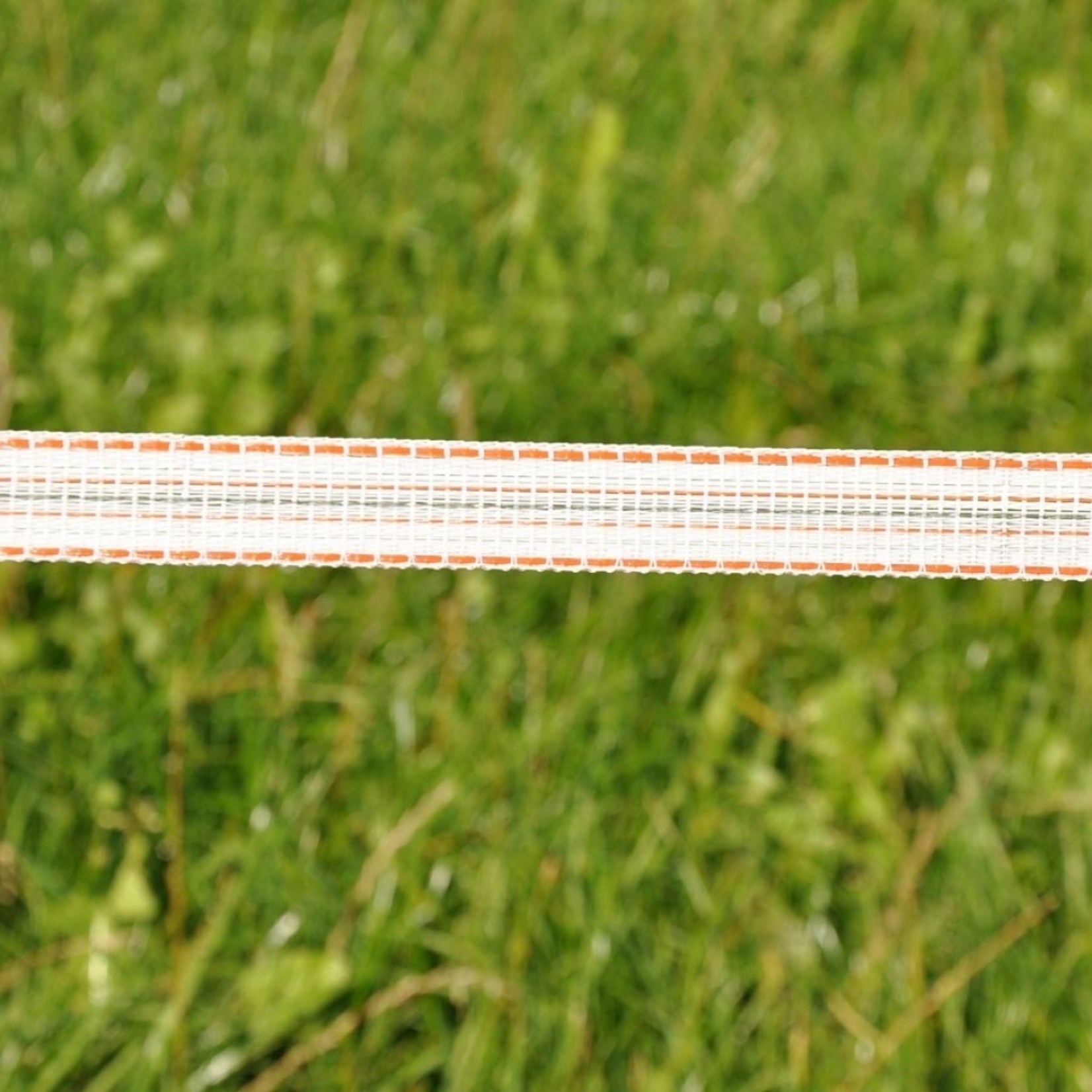 Gallagher Ruban de clôture Gallagher TurboLine – 20 mm, blanc, 200 m