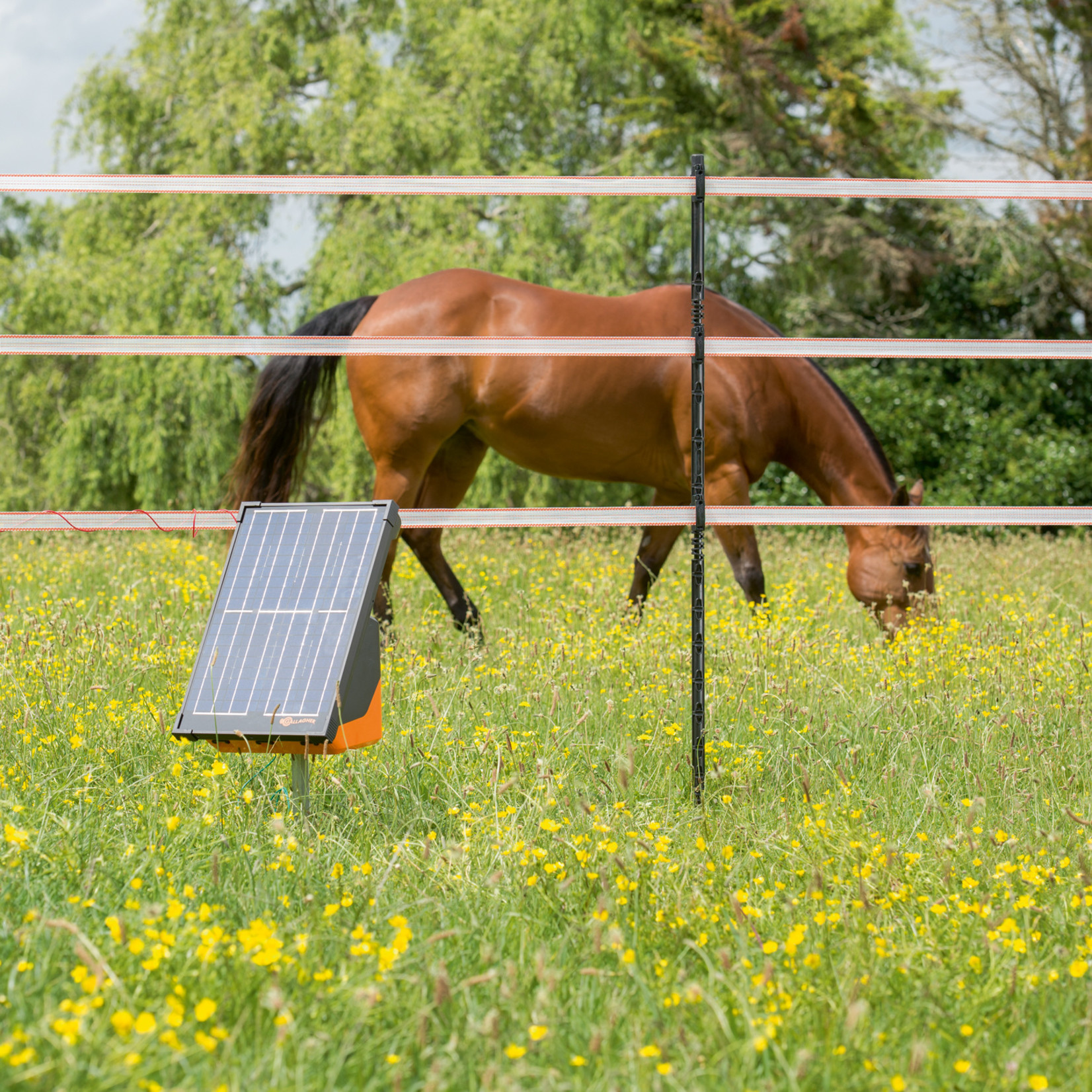 Gallagher Ruban électrique TurboLine 40 mm (blanc, 200 mètre)