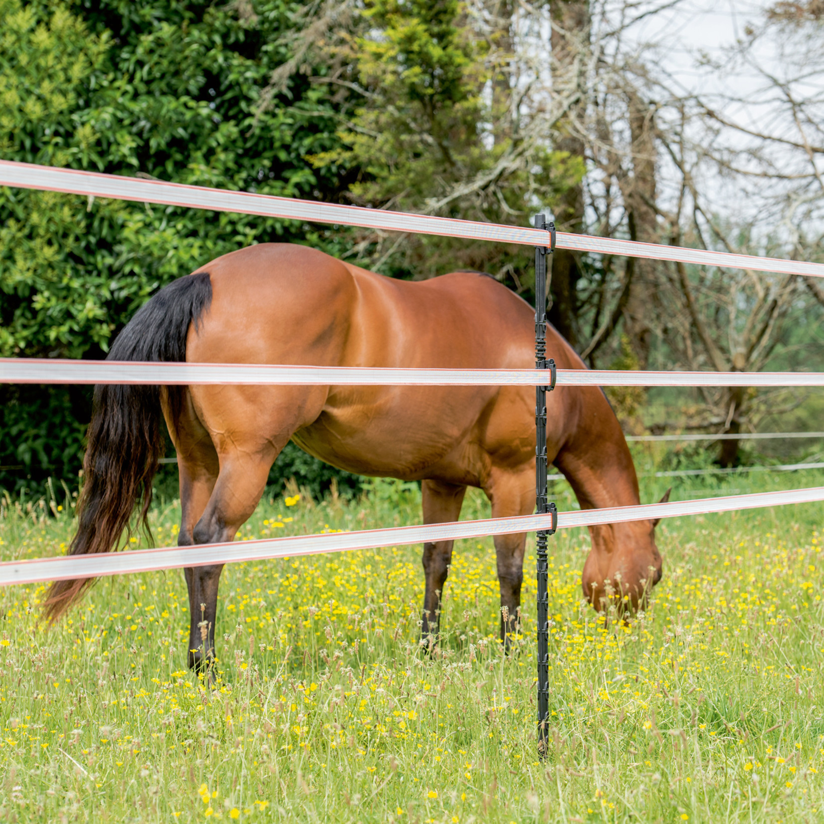Gallagher Ruban électrique TurboLine 40 mm (blanc, 200 mètre)