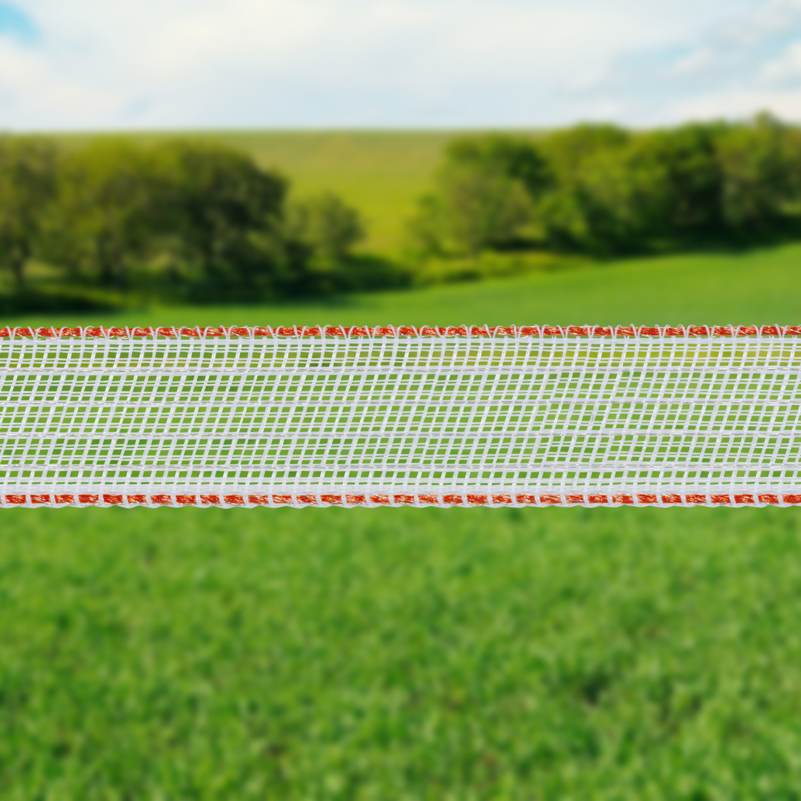 Gallagher Ruban électrique TurboStar 40 mm Super (blanc, 200 mètres)