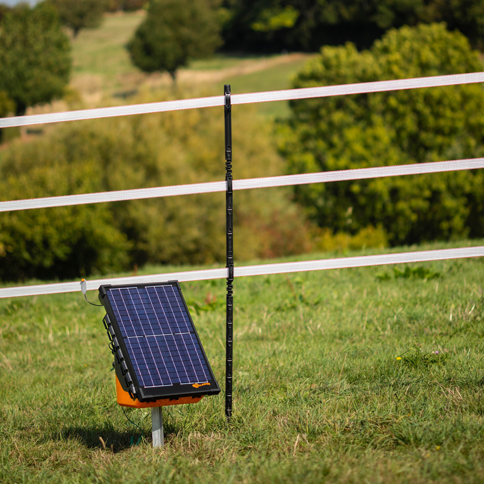 Gallagher Ruban électrique TurboStar 40 mm Super (blanc, 200 mètres)