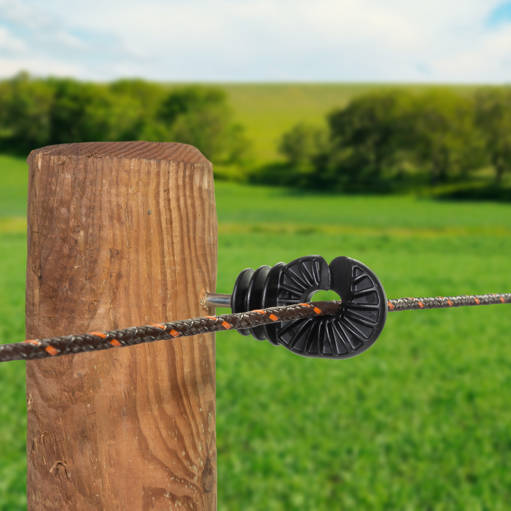 Gallagher Isolateur à vis BS Super bois (100 pcs)