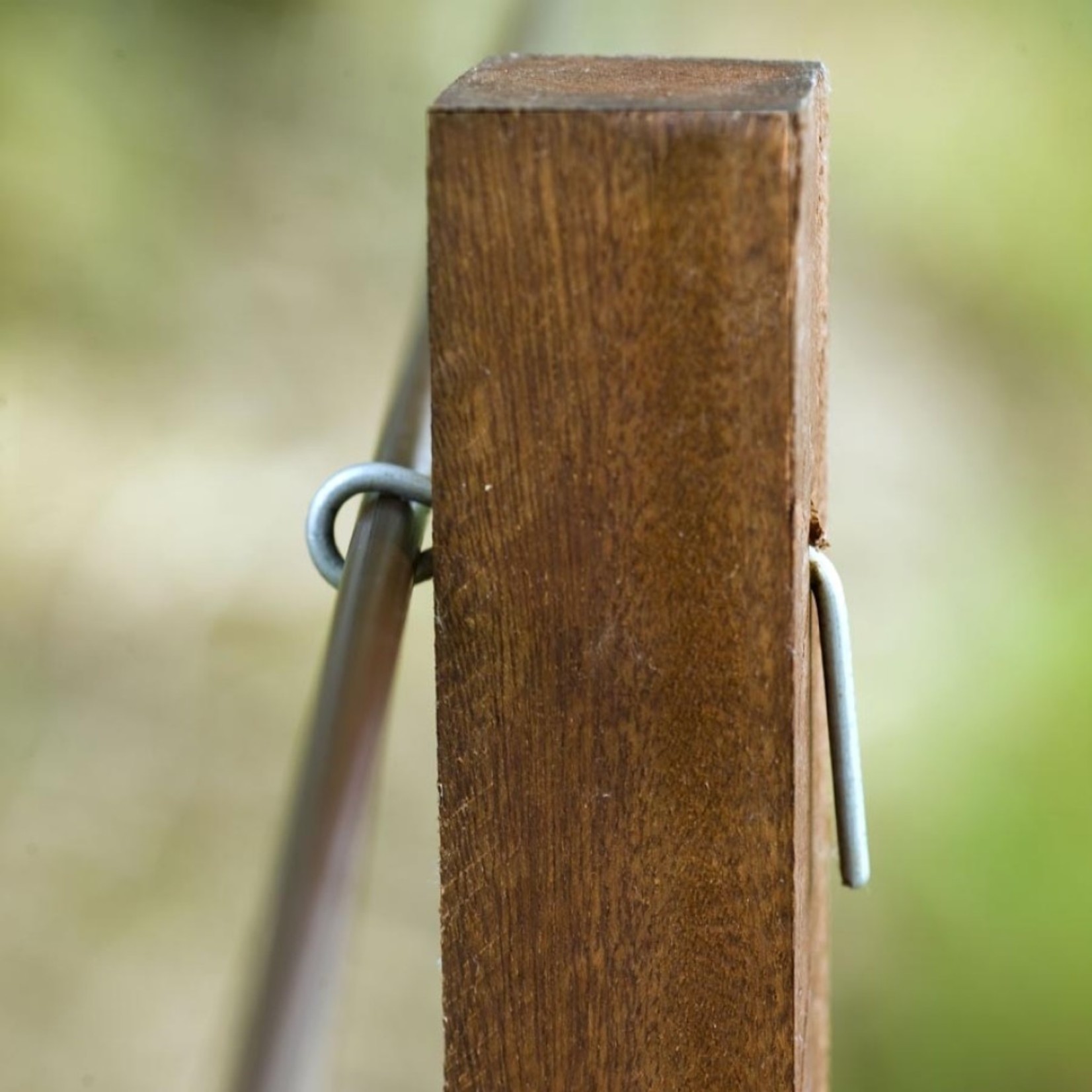 Gallagher Epingle courte (1000 pcs)