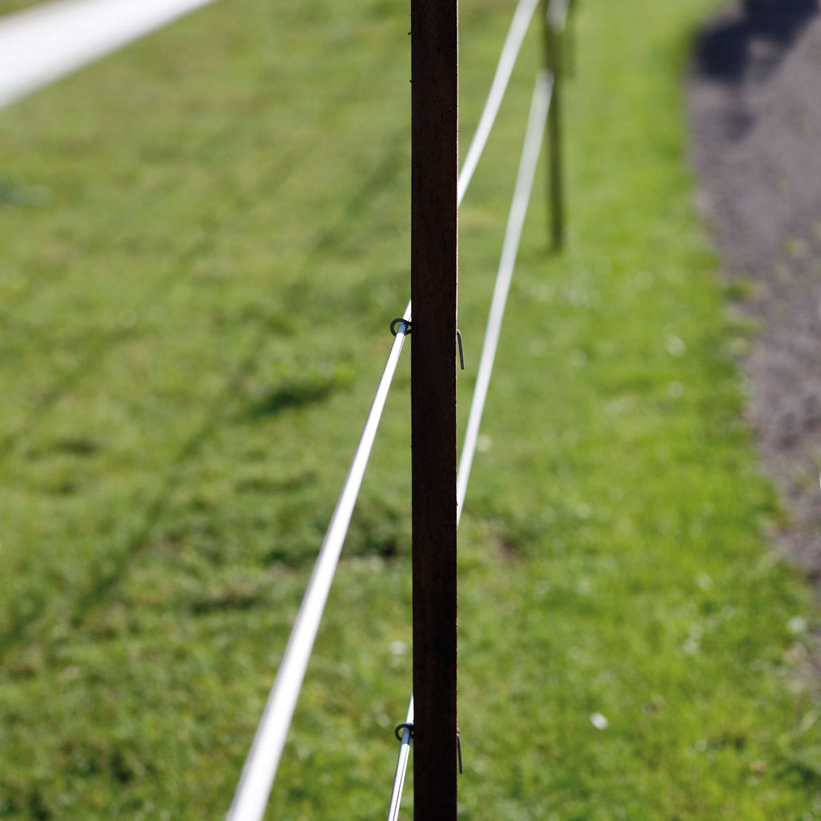 Gallagher Épingle longue Gallagher pour piquets Insultimber et Eco (lot de 1 000)