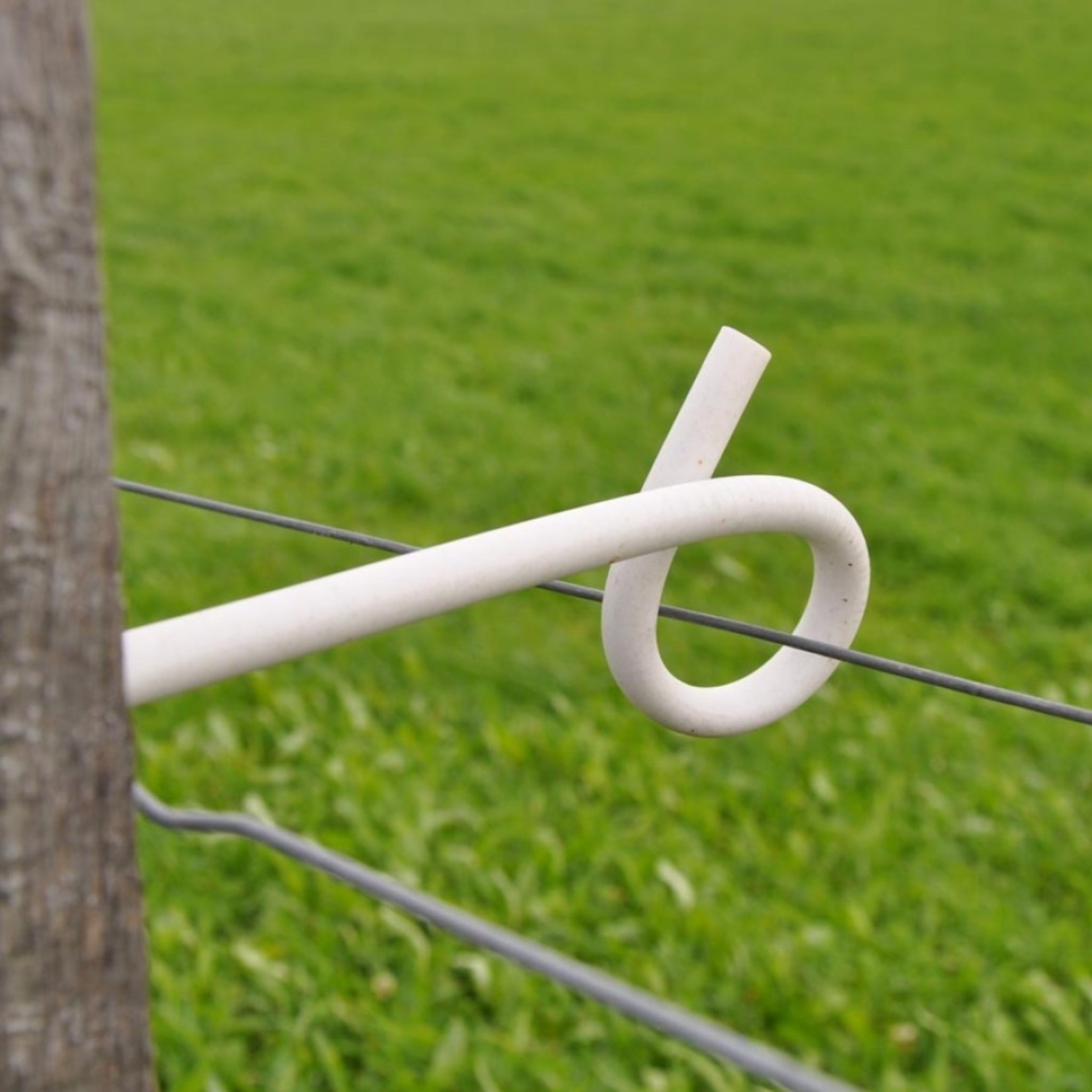Gallagher Isolateur à distance queue de cochon Gallagher – blanc, 17,5 cm (lot de 10)